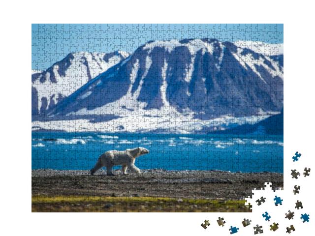 Puzzle 1000 Teile „Eisbär, südliches Spitzbergen“