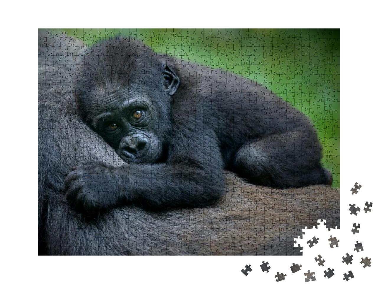 Puzzle 1000 Teile „Ein Gorillababy“