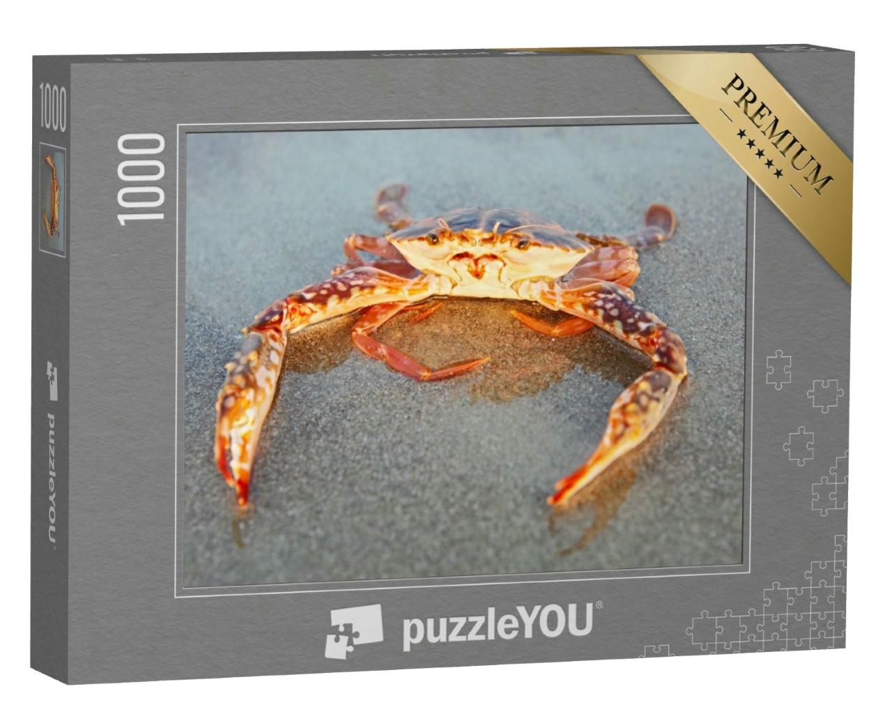 Puzzle 1000 Teile „Rote Krabbe am Strand von Goa, Indien“
