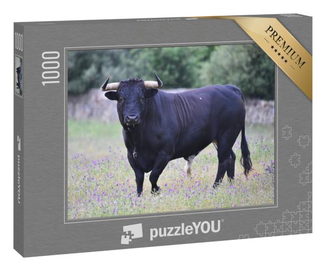 Puzzle 1000 Teile „Schwarzer Stier in Spanien auf der grünen Wiese“