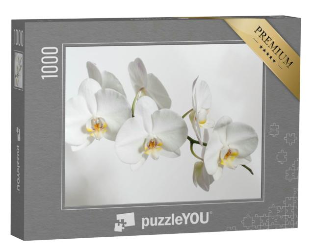 Puzzle 1000 Teile „Bezaubernde weiße Orchidee auf strahlend weißem Hintergrund“