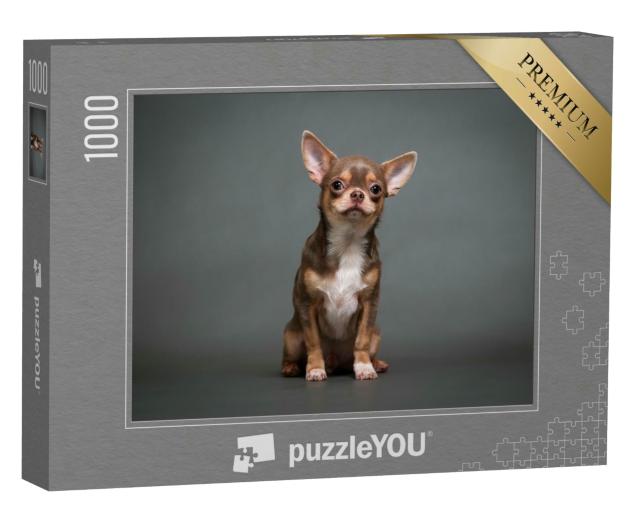 Puzzle 1000 Teile „Chihuahua Welpe mit grauem Hintergrund“