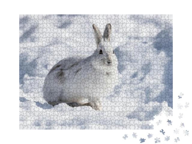 Puzzle 1000 Teile „Weißer Schneeschuhhase im Winter“