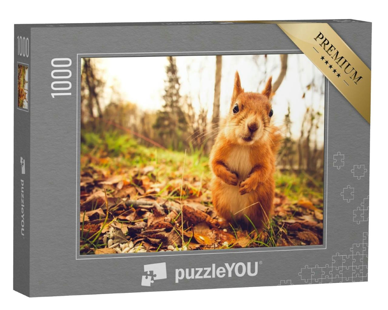 Puzzle 1000 Teile „Eichhörnchen: rotes Fell, lustige Tiere aus der Natur“