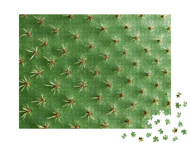 Puzzle 1000 Teile „Nahaufnahme der Stacheln eines Kaktus“