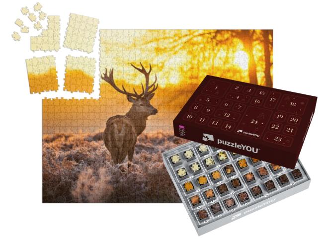 Puzzle-Adventskalender „Rothirsch in der Morgensonne“