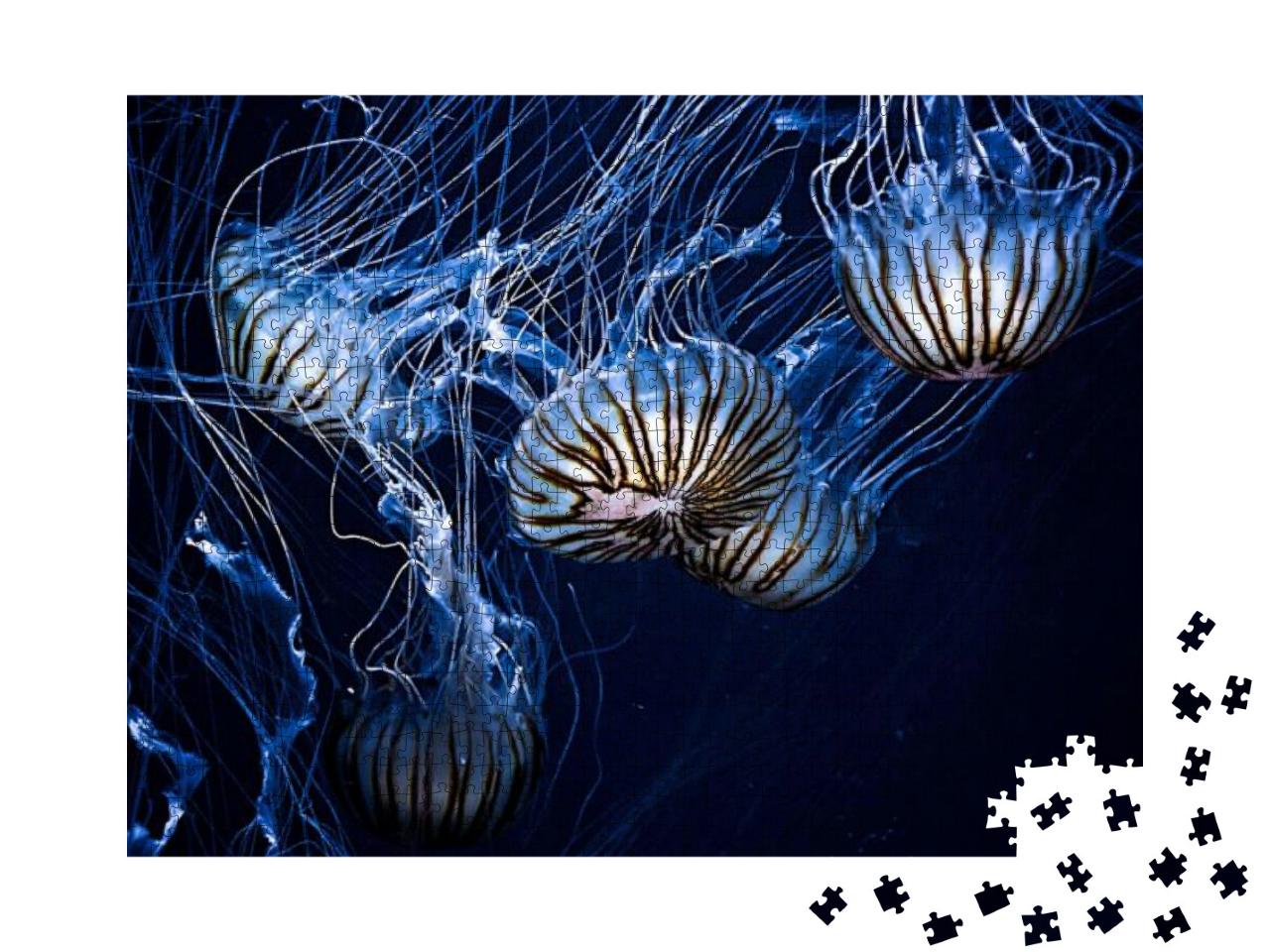 Puzzle 1000 Teile „Magisch leuchtende Quallen in der Dunkelheit unter Wasser“