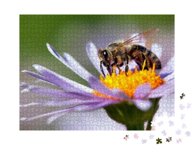 Puzzle 1000 Teile „Detailaufnahme: Honigbiene auf einer Blüte“