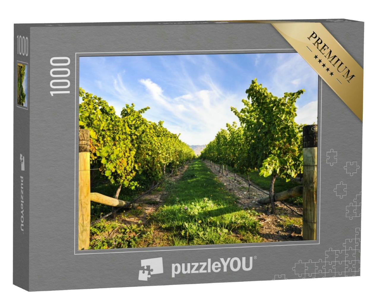 Puzzle 1000 Teile „Reihe von Weinbergen bei schönem Wetter, Holzpfosten“