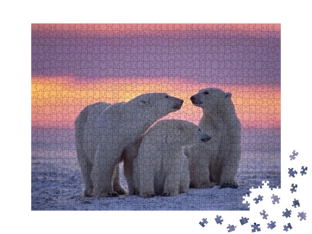 Puzzle 1000 Teile „Eisbärenfamilie im Sonnenuntergang in der kanadischen Arktis.“