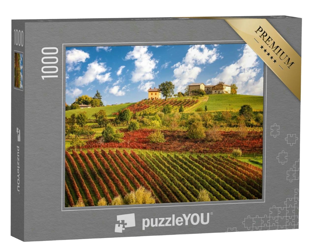 Puzzle 1000 Teile „Lambrusco-Weinberge bei Castelvetro, Provinz Modena, Emilia Romagna, Italien“