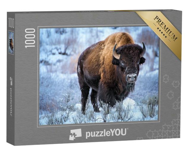 Puzzle 1000 Teile „Amerikanischer Bison kauert bei Schnee, Winter, Yellowstone-Nationalpark“