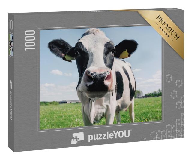 Puzzle 1000 Teile „Nahaufnahme einer schwarz-weißen Kuh“