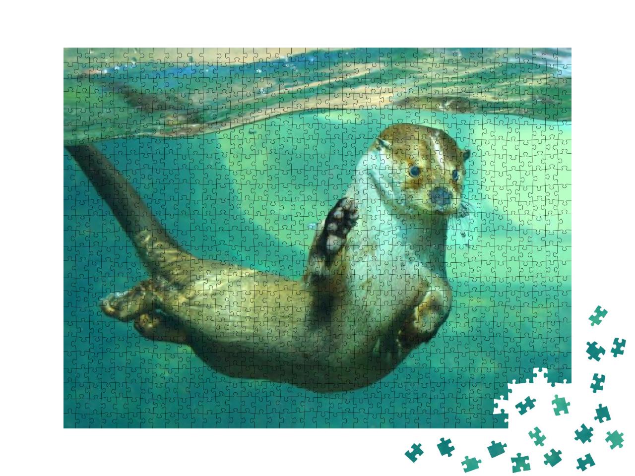 Puzzle 1000 Teile „Der Europäische Fischotter unter Wasser“