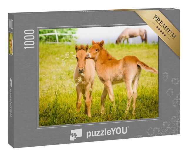 Puzzle 1000 Teile „Spielende Fohlen auf der Wiese“