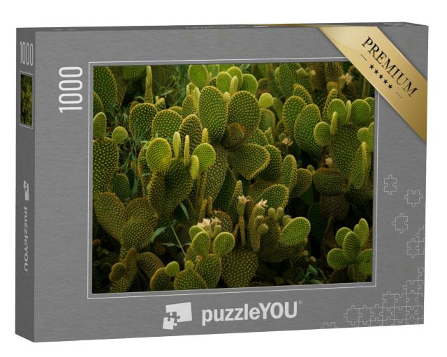 Puzzle 1000 Teile „Textur der Wüste: Angel Wings Kaktus in Großaufnahme“