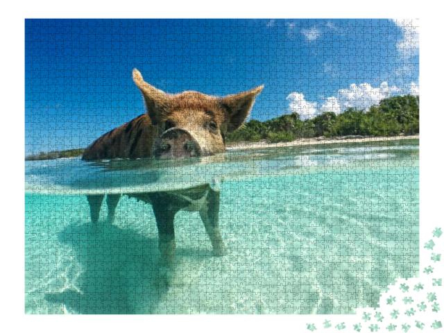 Puzzle 2000 Teile „Wasserbegeistertes Wildschwein auf den Bahamas, Karibik“