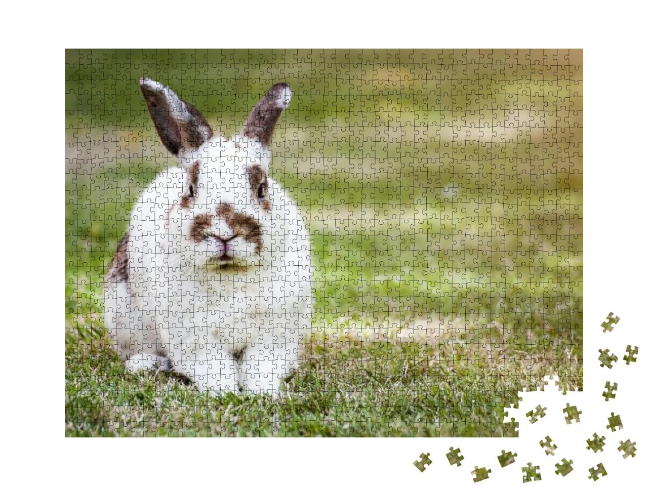 Puzzle 1000 Teile „Süßes geflecktes Kaninchen auf grünem Gras“