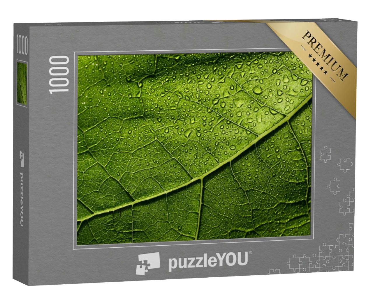 Puzzle 1000 Teile „Makroaufnahme: Ein regennasses Blatt“