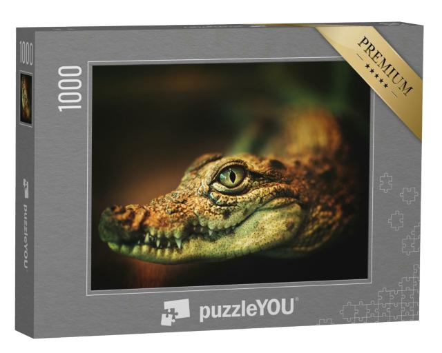 Puzzle 1000 Teile „Krokodil zeigt seine Zähne und blickt zur Kamera“