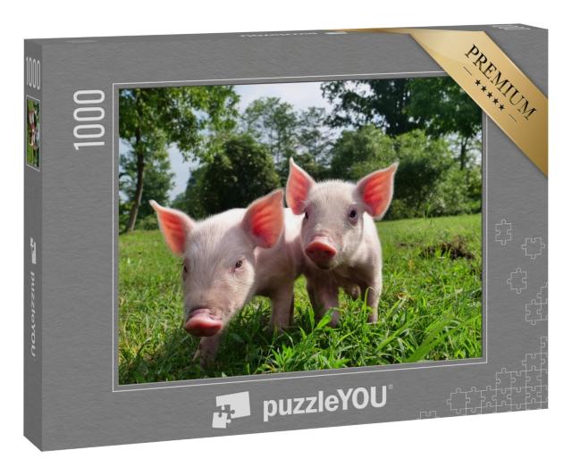 Puzzle 1000 Teile „Zwei winzige Ferkel auf einer grünen Wiese“
