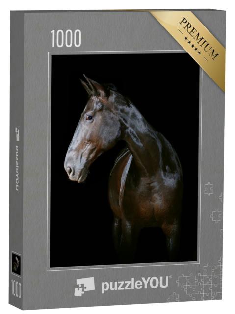 Puzzle 1000 Teile „Dunkles Pferd auf schwarzem Hintergrund“