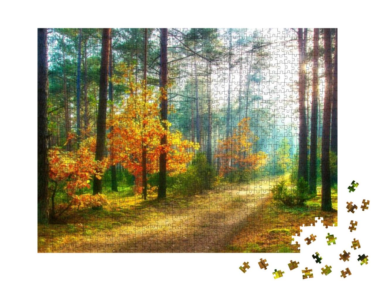 Puzzle 1000 Teile „Waldlandschaft im Herbst: schöner heller Wald im Sonnenlicht“