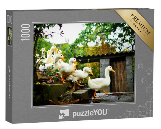 Puzzle 1000 Teile „Enten auf einer Treppe im Garten“