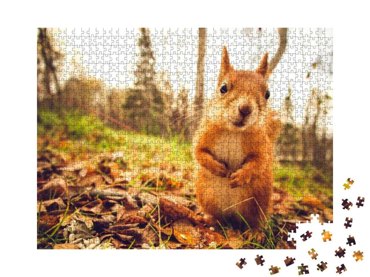 Puzzle 1000 Teile „Eichhörnchen: rotes Fell, lustige Tiere aus der Natur“