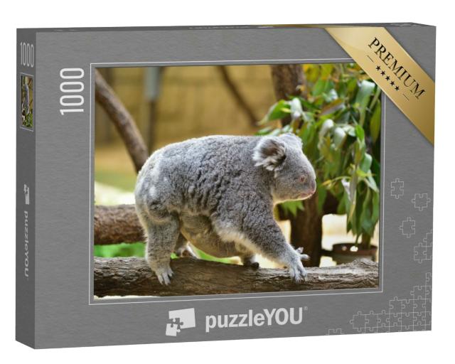 Puzzle 1000 Teile „Koala-Baby klammert sich an den Bauch seiner Mutter“