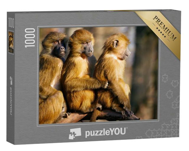 Puzzle 1000 Teile „Paviane Familie“
