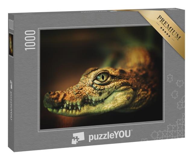 Puzzle 1000 Teile „Krokodil zeigt seine Zähne und blickt zur Kamera“