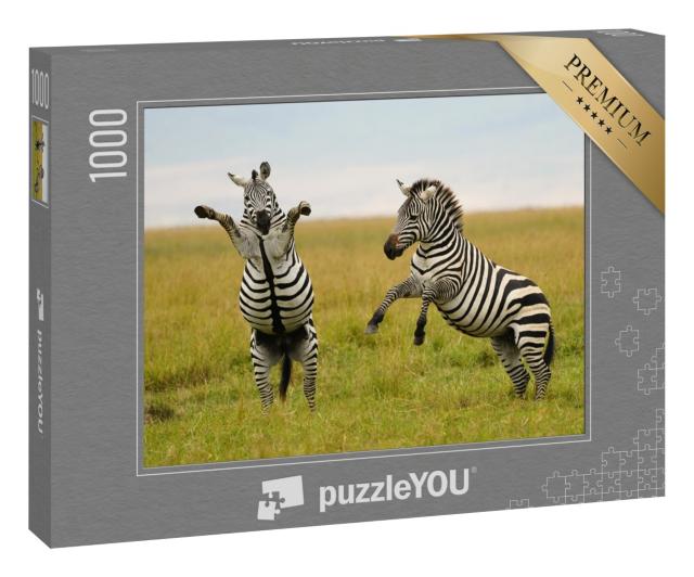 Puzzle 1000 Teile „Spiel oder Kampf? Burchell- oder Steppenzebra in Tansania“