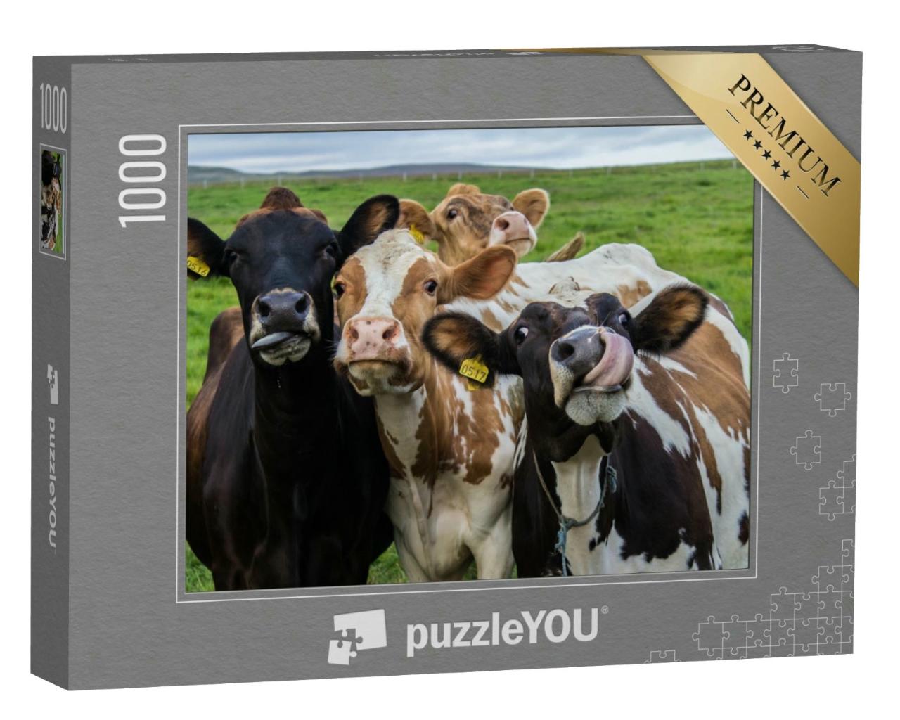 Puzzle 1000 Teile „Vier lustige Kühe schauen in die Kamera“