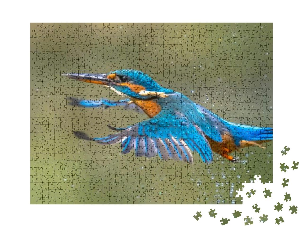Puzzle 1000 Teile „Der Eisvogel fliegt nach dem Auftauchen aus dem Wasser“