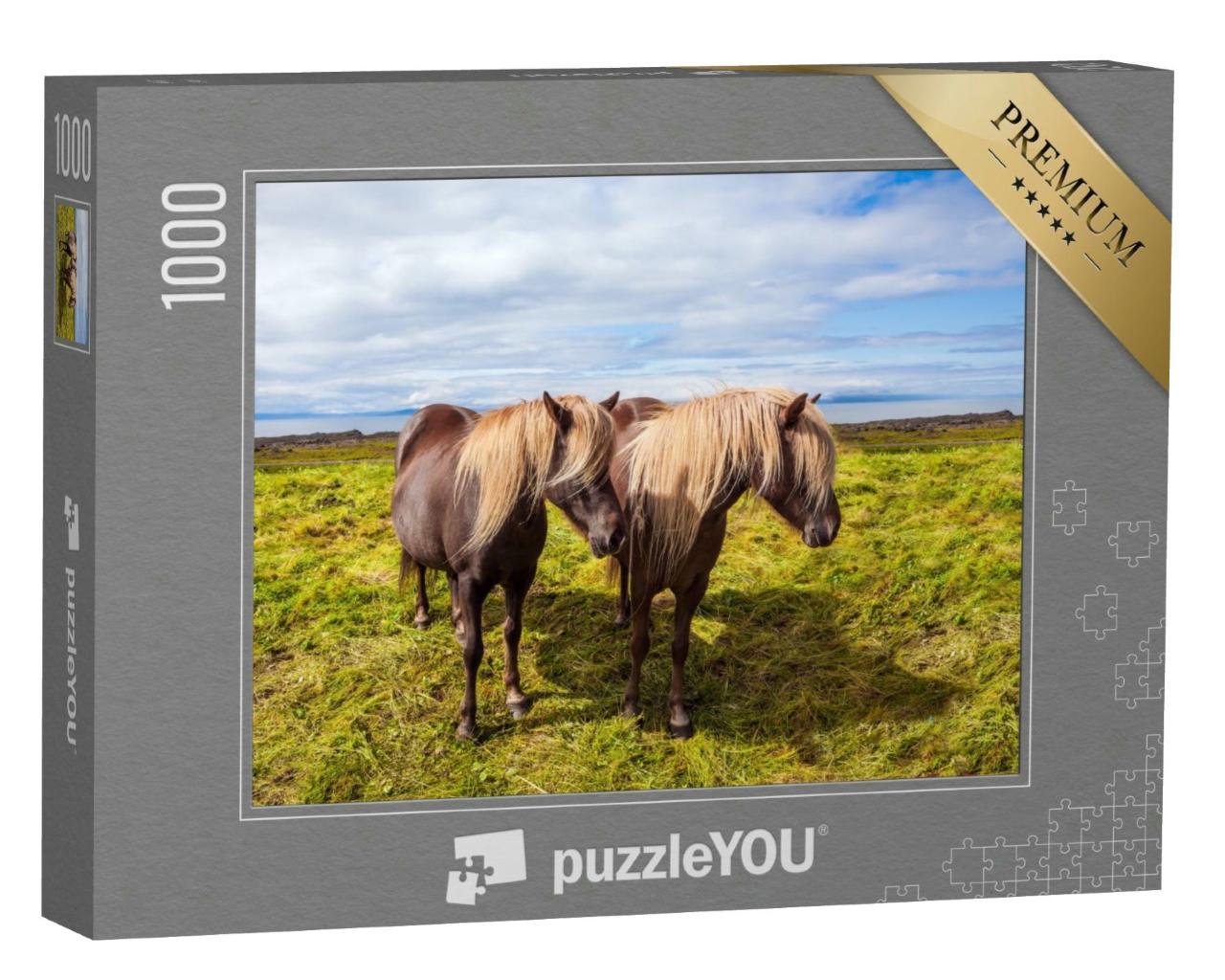 Puzzle 1000 Teile „Wunderschöne Island-Pferde in der sommerlichen Thundra von Island“