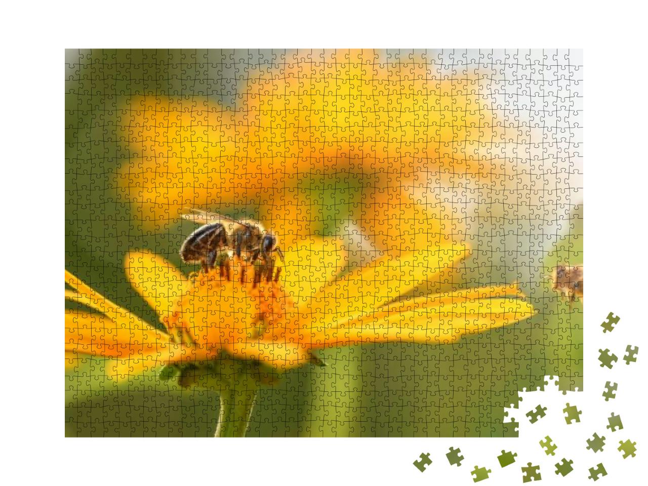 Puzzle 1000 Teile „Nahaufnahme: Biene und Blume“