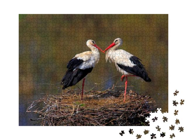 Puzzle 1000 Teile „Weißstorchpaar in einem Nest während der Frühjahrsbrutzeit“