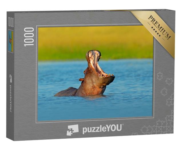 Puzzle 1000 Teile „Nilpferd mit offener Schnauze im Wasser, Botswana, Afrika“