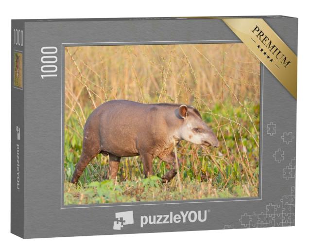 Puzzle 1000 Teile „Tapir, Flachlandtapir im brasilianischen Dschungel“