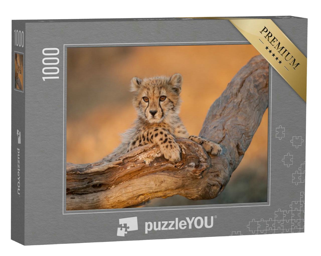Puzzle 1000 Teile „Gepardenbabys auf einem Ast im Kruger Park, Südafrika“