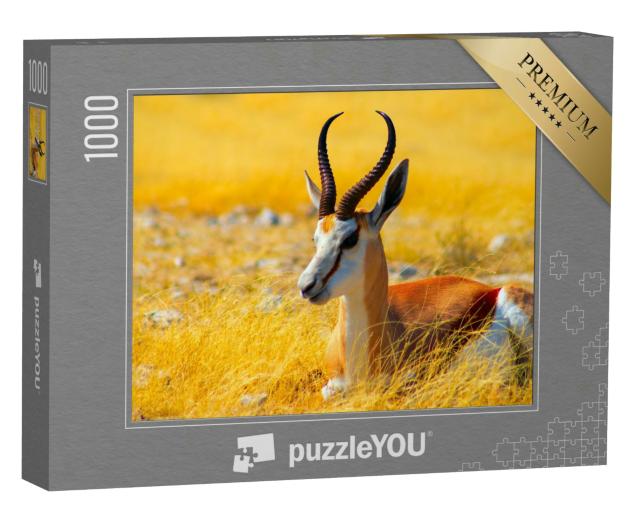 Puzzle 1000 Teile „Mittelgroße Antilope: Sprinbock im hohen Gras, Etosha-Nationalpark, Namibia“