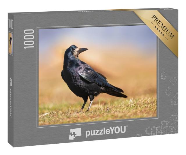 Puzzle 1000 Teile „Schwarz glänzendes Gefieder: Eine Saatkrähe“