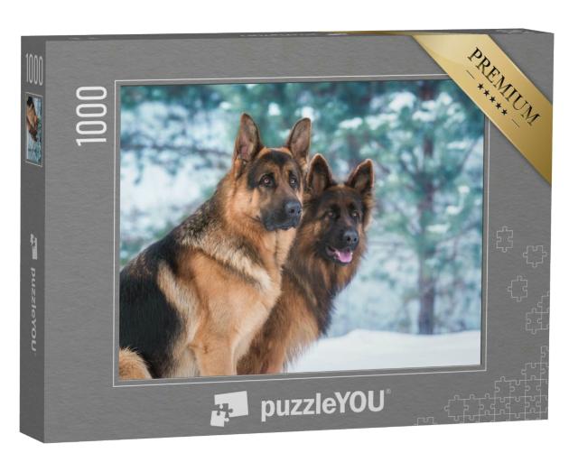 Puzzle 1000 Teile „Porträt von zwei Deutschen Schäferhunden im Winter, schauen aufmerksam“
