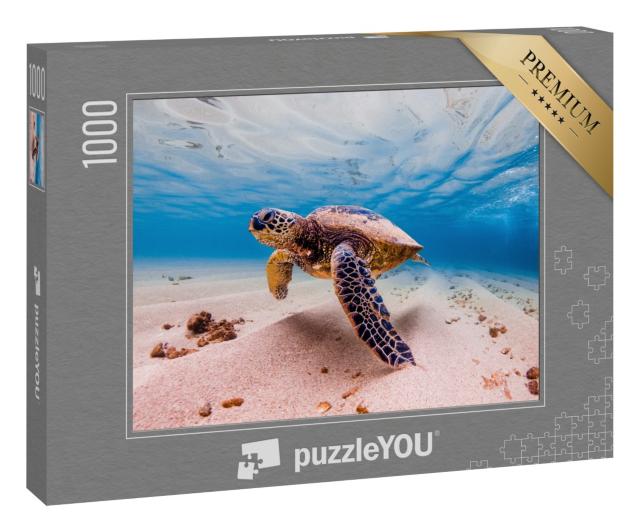 Puzzle 1000 Teile „Grüne Meeresschildkröte, Hawaii, seltenes Tier“
