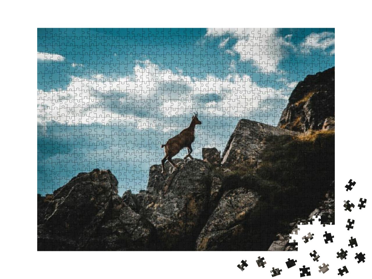 Puzzle 1000 Teile „Junge Gämse in den italienischen Alpen“