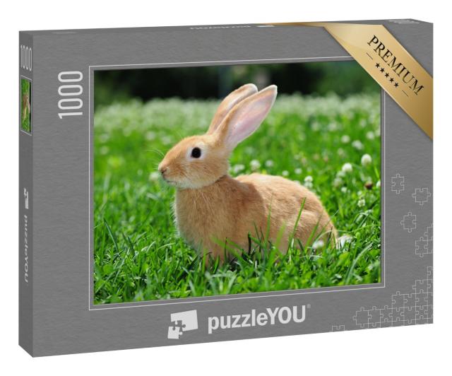 Puzzle 1000 Teile „Kaninchen in der Natur“