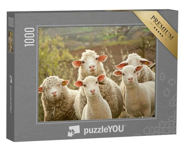 Puzzle 1000 Teile „Neugierige Schafe“