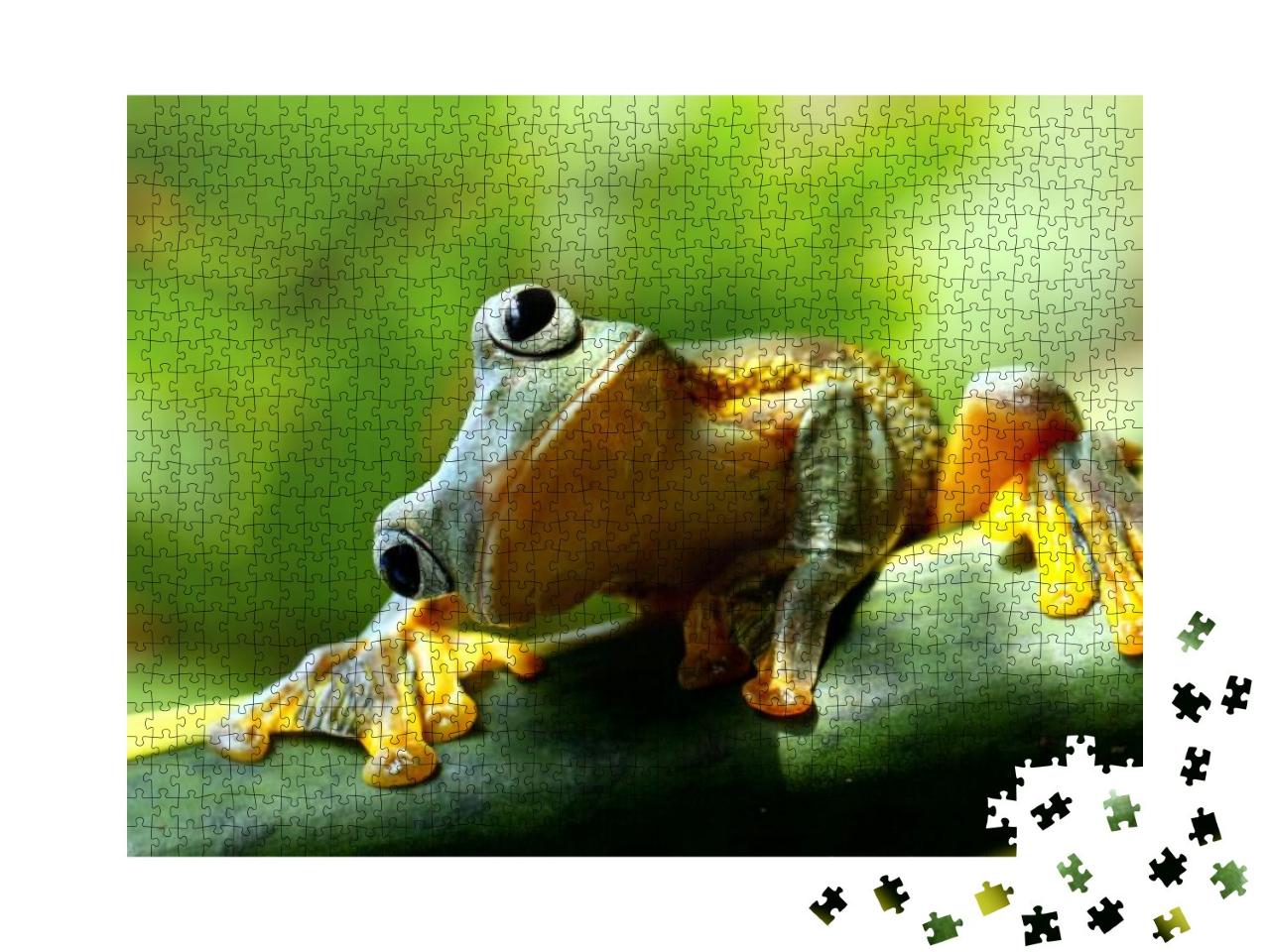 Puzzle 1000 Teile „Neugieriger Frosch“