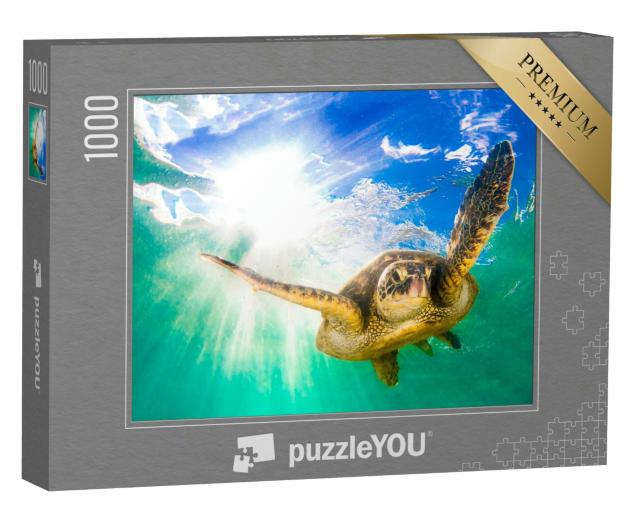 Puzzle 1000 Teile „Grüne Meeresschildkröte im Pazifischen Ozean“